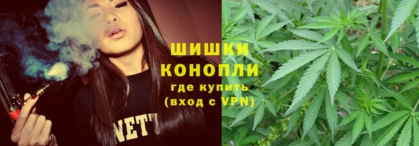 сатива Семёнов