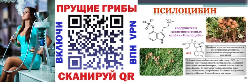 Псилоцибиновые грибы мухоморы  Зима 